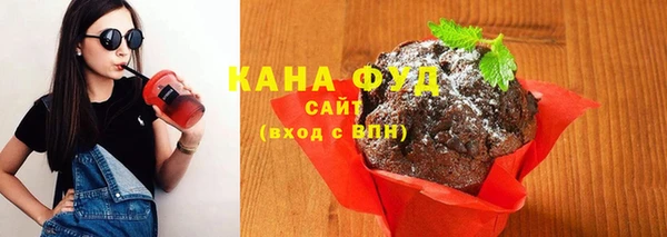 шишки Няндома