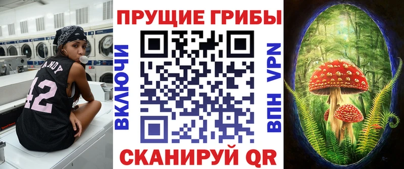 мега онион  Карпинск  Галлюциногенные грибы Psilocybine cubensis 